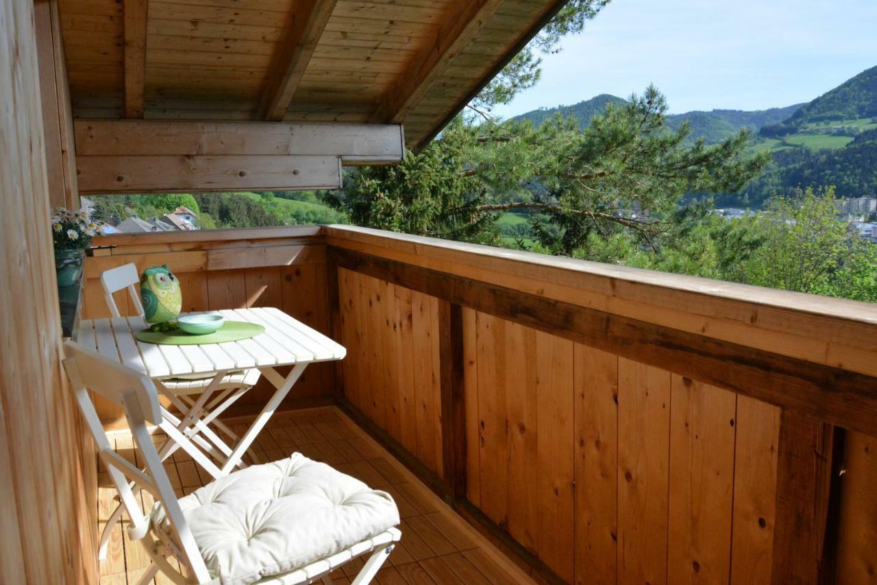 Appartement Kohlnberger Waidhofen-Ybbs Dış mekan fotoğraf
