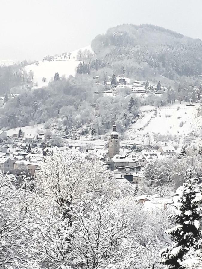 Appartement Kohlnberger Waidhofen-Ybbs Dış mekan fotoğraf